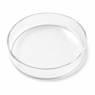 Petriskål af glas Ø11 cm