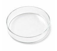 Petriskål af glas Ø11 cm