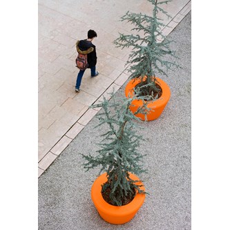 #169 Loop Cone planter