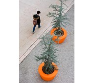 #169 Loop Cone planter