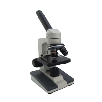 Mikroskop 40x forstørrelse.