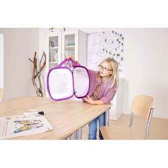 Sommerfuglebur lille