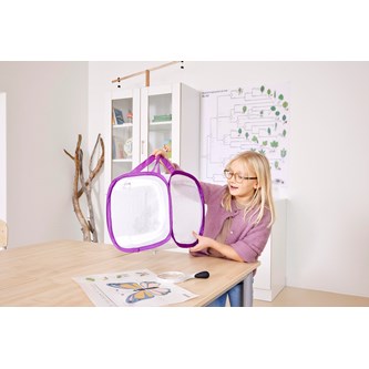 Sommerfuglebur lille