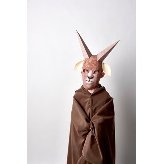 Stjernetegn - Stenbukken