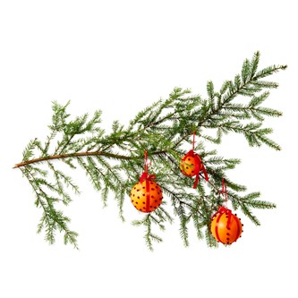 Appelsinkugler
