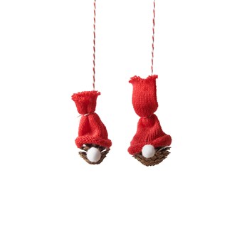 Kogle-nisse