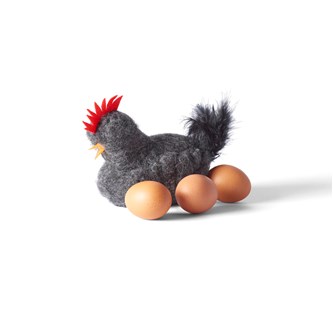 Æggelæggende høne