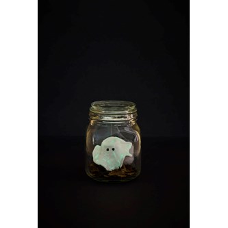 Spøgelsesglas