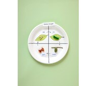 Sommerfuglens livscyklus