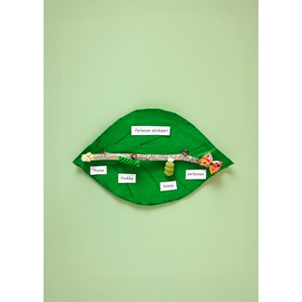 Sommerfuglens livscyklus med pasta