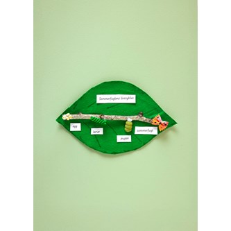 Sommerfuglens livscyklus med pasta