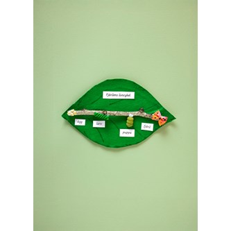 Sommerfuglens livscyklus med pasta