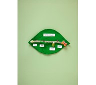 Sommerfuglens livscyklus med pasta