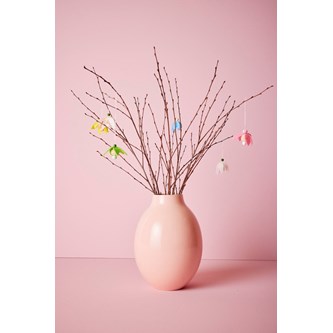 Forårsfriske vintergækker