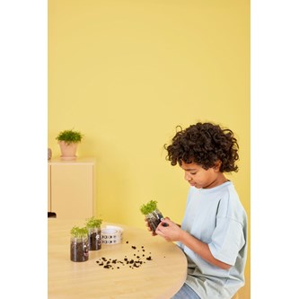 Forårsdyrk med karse