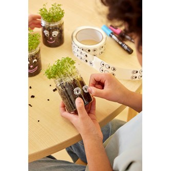 Forårsdyrk med karse