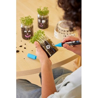 Forårsdyrk med karse