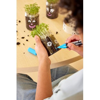 Forårsdyrk med karse