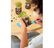 Forårsdyrk med karse