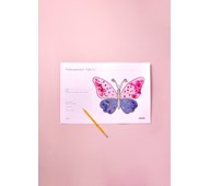 Sommerfuglens fødselsattest