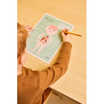 Min krop: organer – gratis materiale
