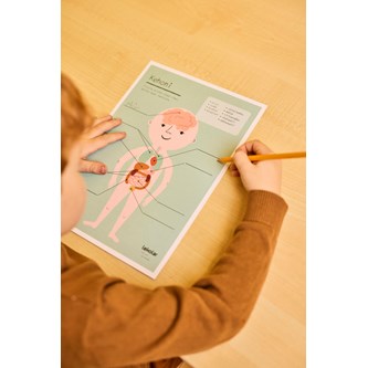 Min krop: organer – gratis materiale